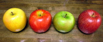 fruit-apples2009.jpg