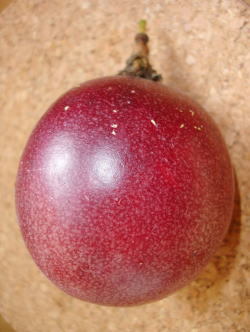fruit-passionfruit3.jpg